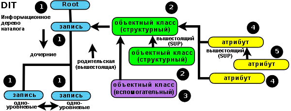 LDAP&thinsp;&mdash;&thinsp;иерархия объектных классов и атрибутов